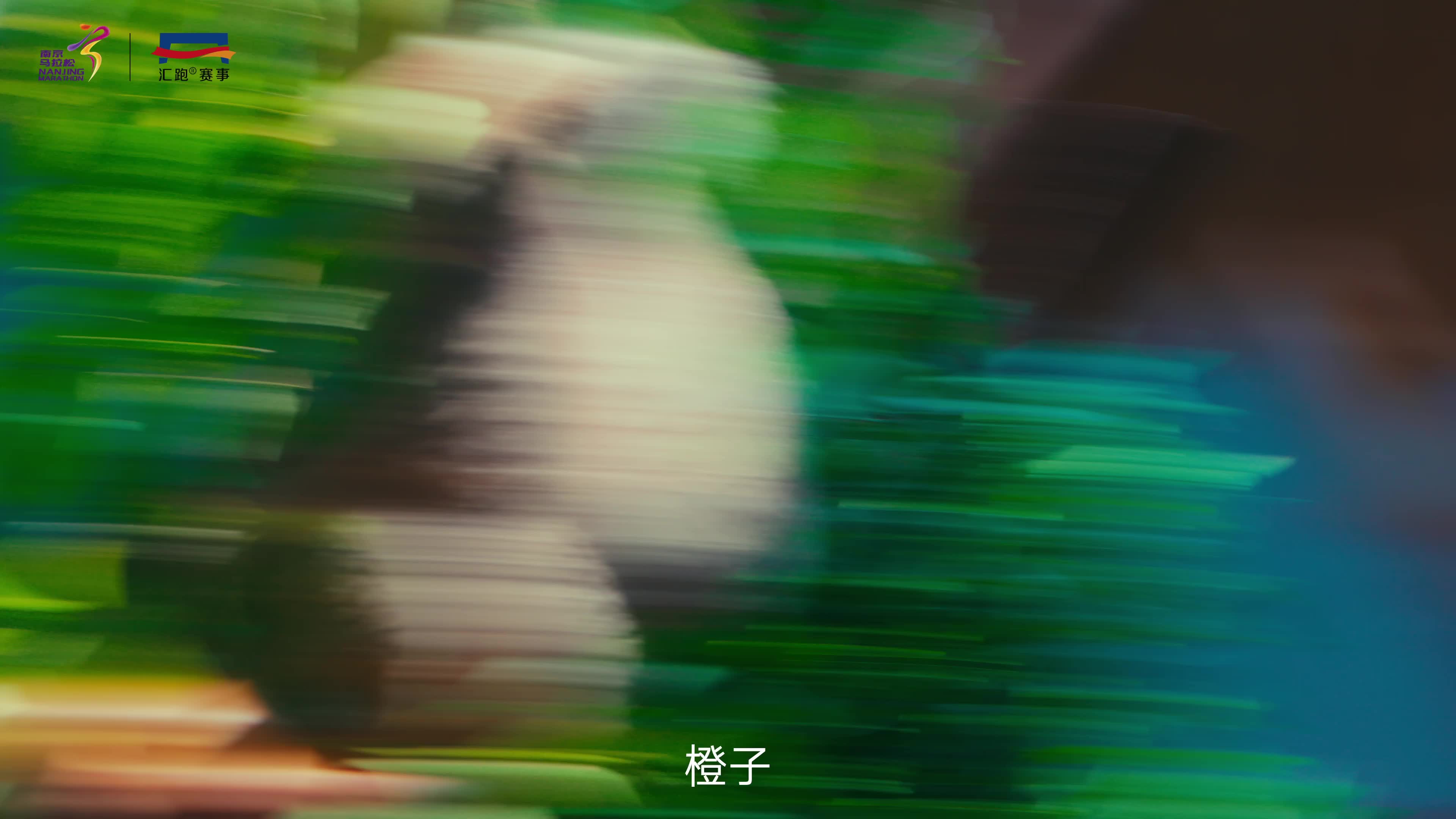 南京银行·2024南京马拉松 暨大运河马拉松系列赛（南京站）宣传片上线！