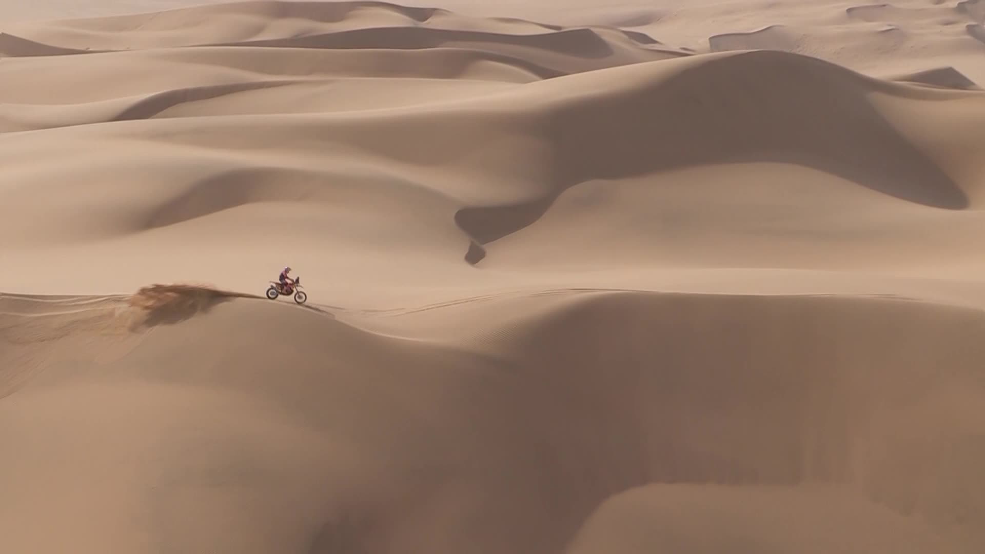 2026达喀尔拉力赛集锦 Day9